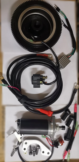 ALLFA CG T9,9 FW S (9,9 л.с., 2 такта)